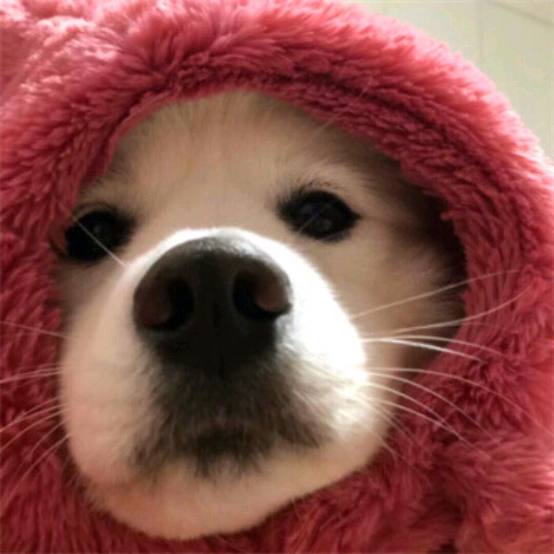 猛戳瞎子那只好眼