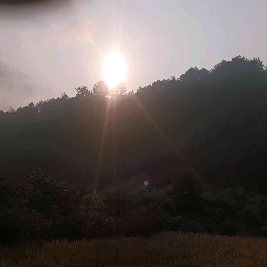 高山上的红太阳