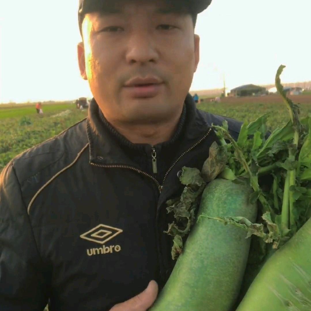 岳来越好
