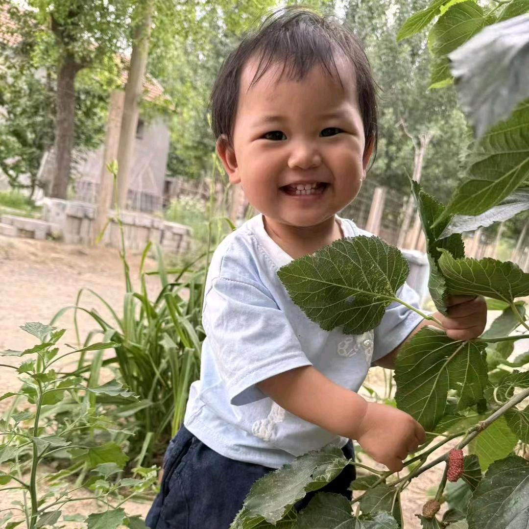 胤希奶奶🌹学军育苗