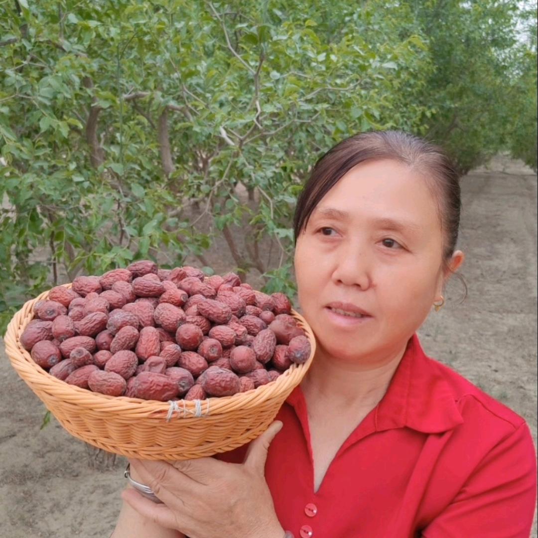 谢阿姨的果园