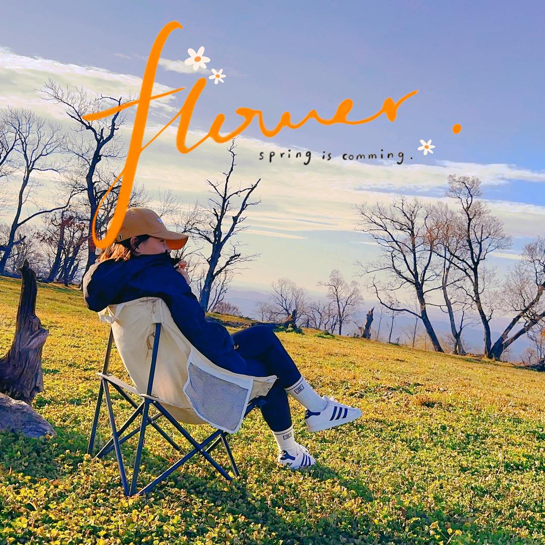 陈小姐的春夏秋冬