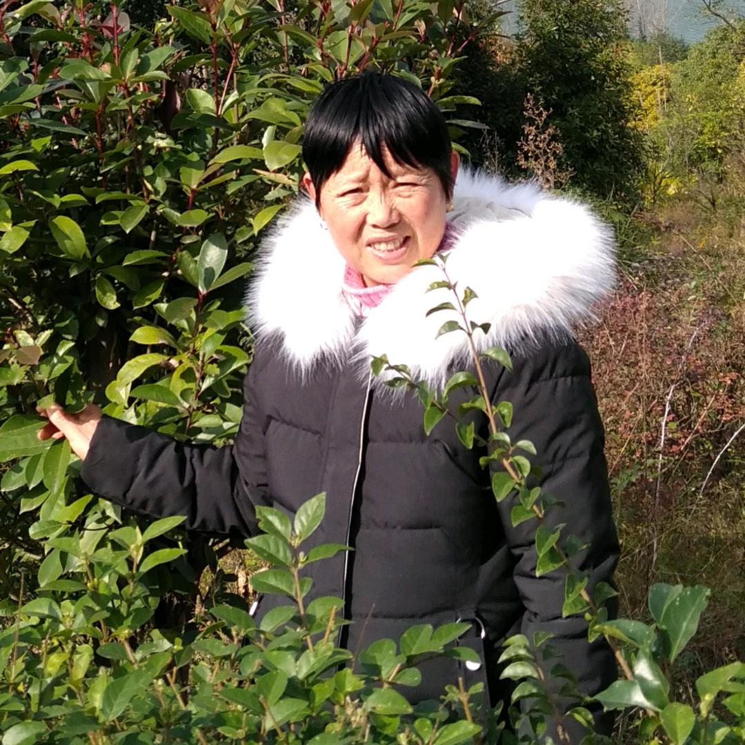 单学林