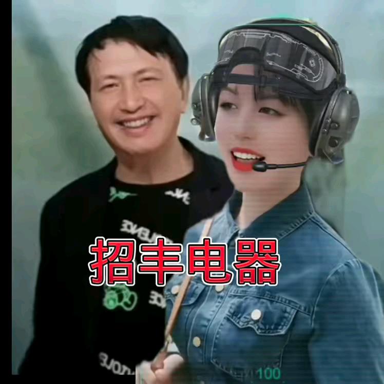 招丰电器