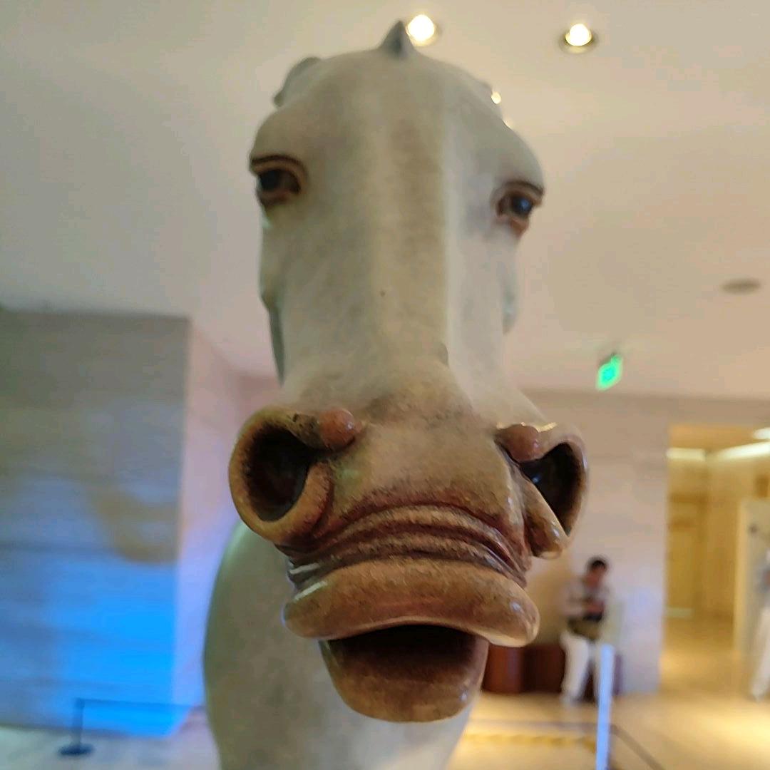 超级无敌大鸡翅膀子战神