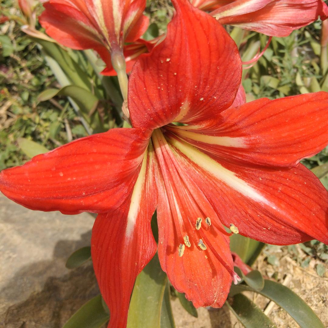 💞暖心❤️向阳