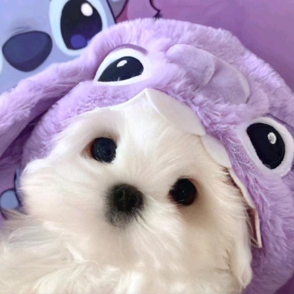 💉苦命打工仔🌴