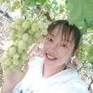 圆梦清泉