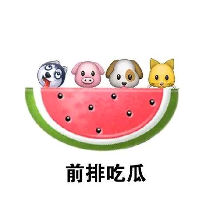 开鑫头像