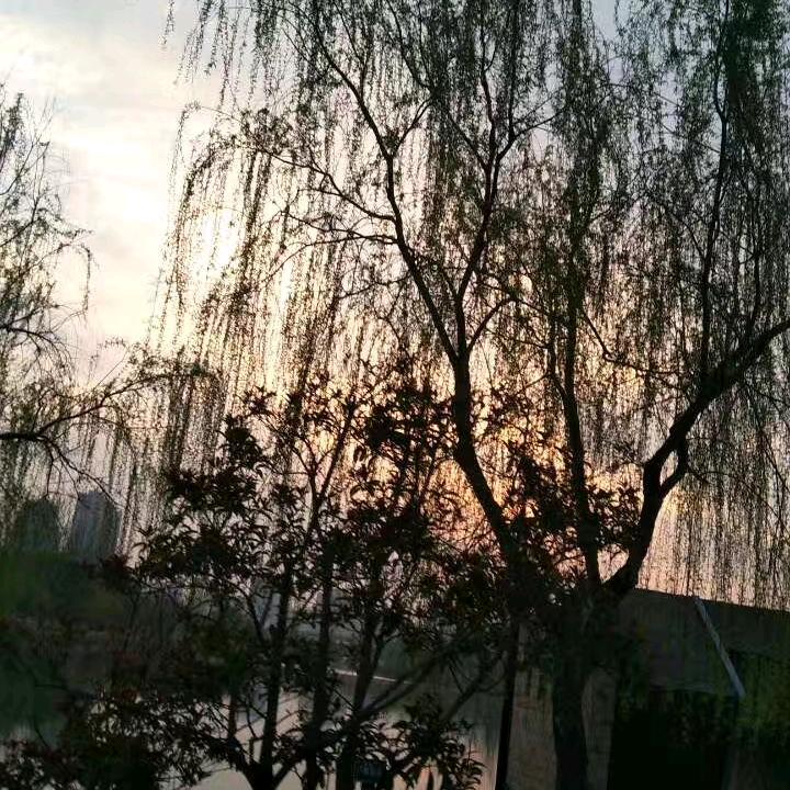 回忆过去思念过去