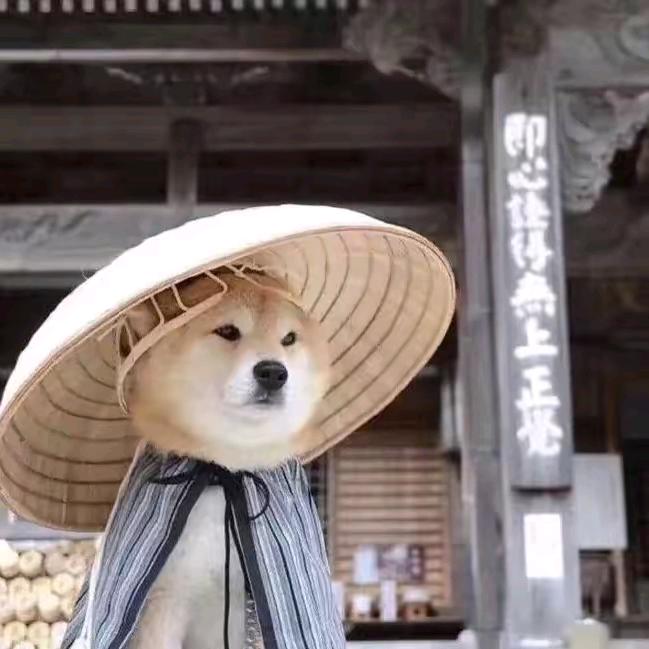 皮皮瞎