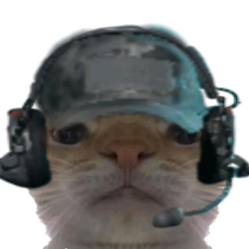 红小狼(三角洲行动)