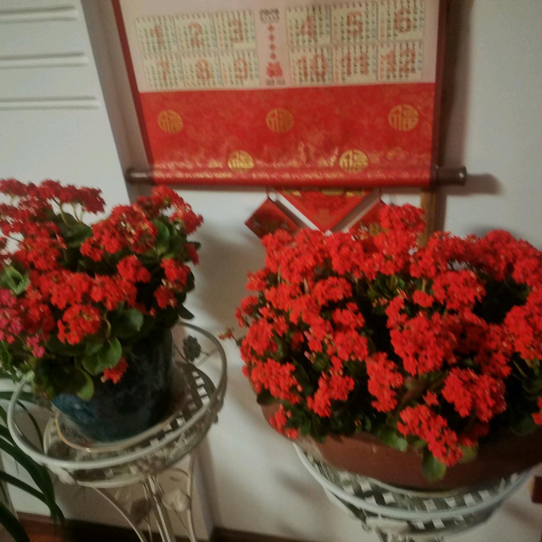 市场大哥
