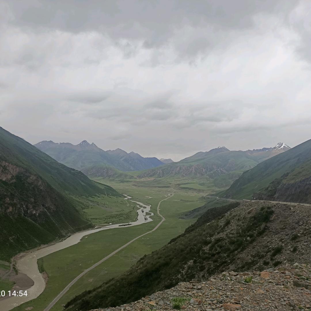 专业驾照报名培训