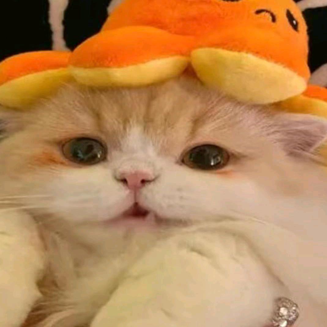 鱼十七