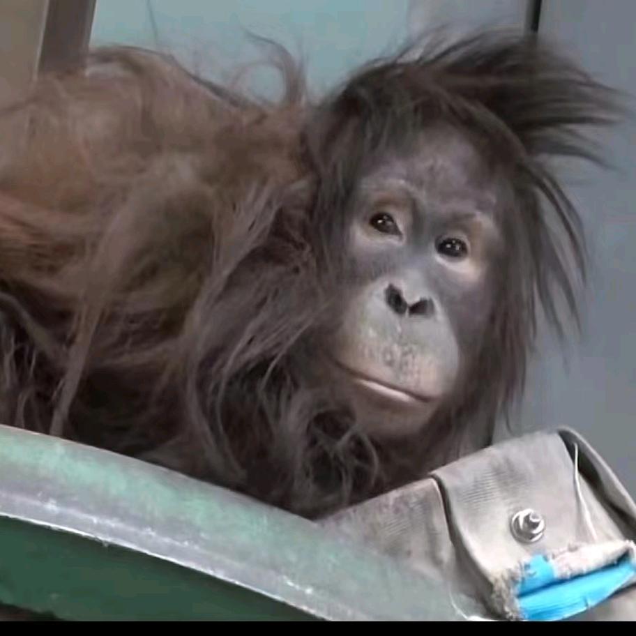 ꦿൢ师太别开灯.是老衲 ᭄ꦿൢ