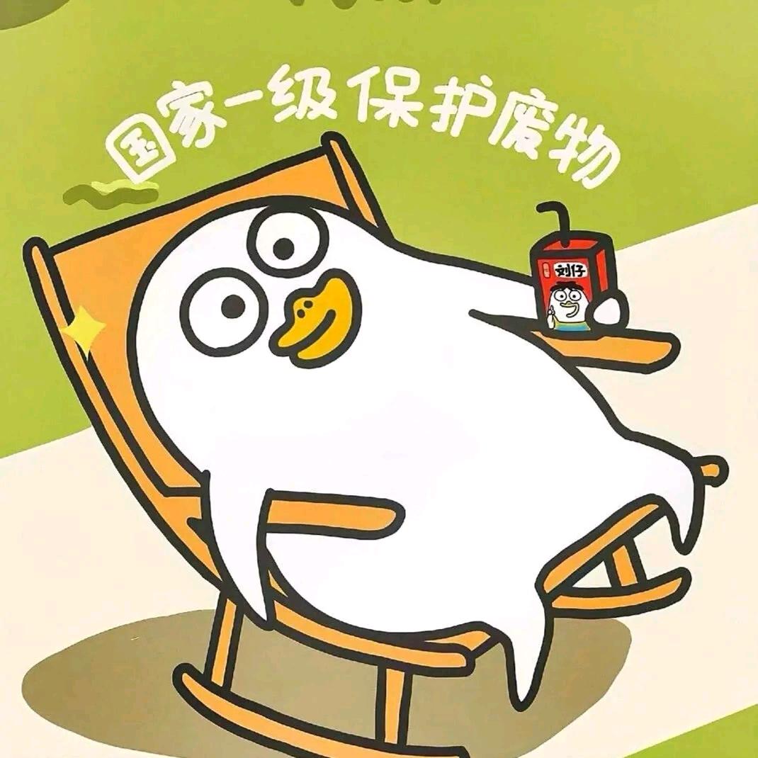 怪怪