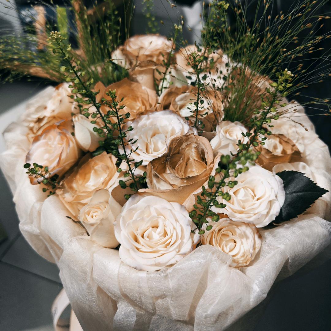 @菜菜的菜菜🍀