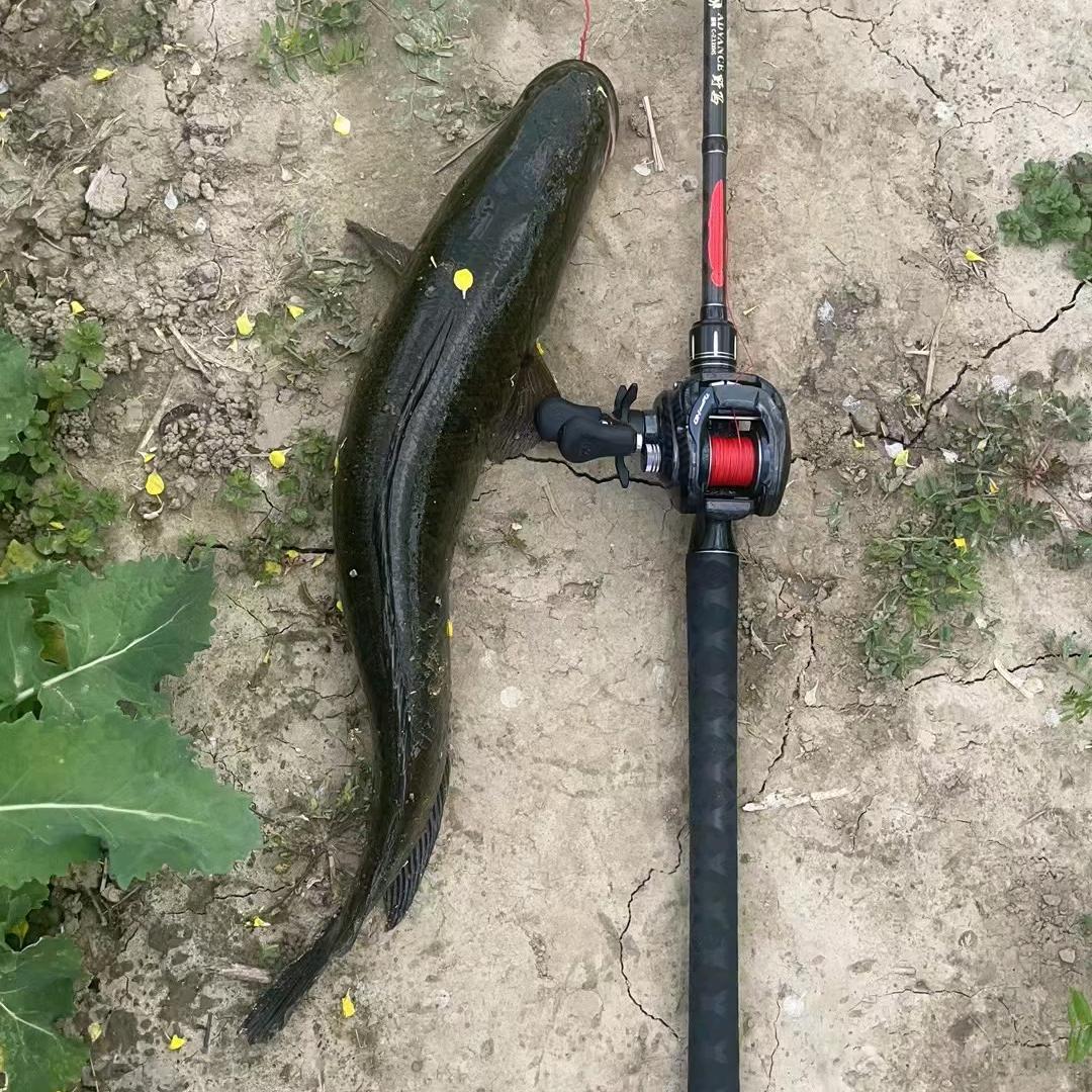 @路亚宝宝（黑鱼克星）