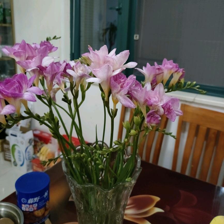 丽丽