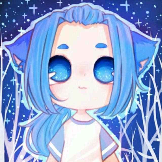 星猫科技～流量卡推荐