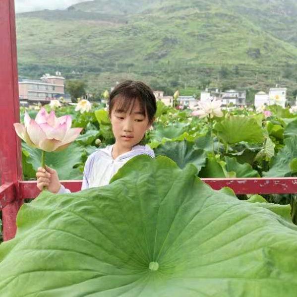 健康好运来