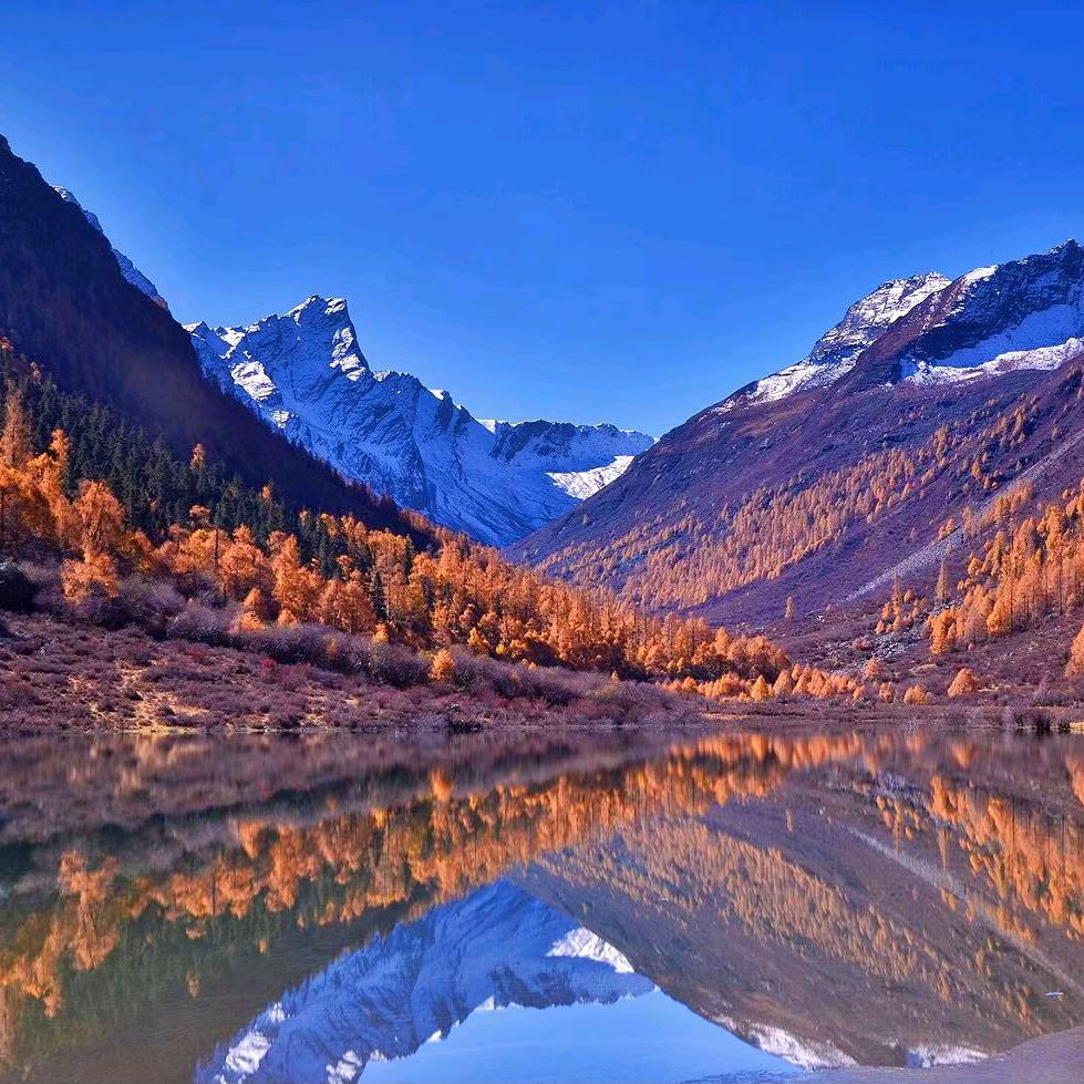 怀灯|ル头放火炮【兜几闹】