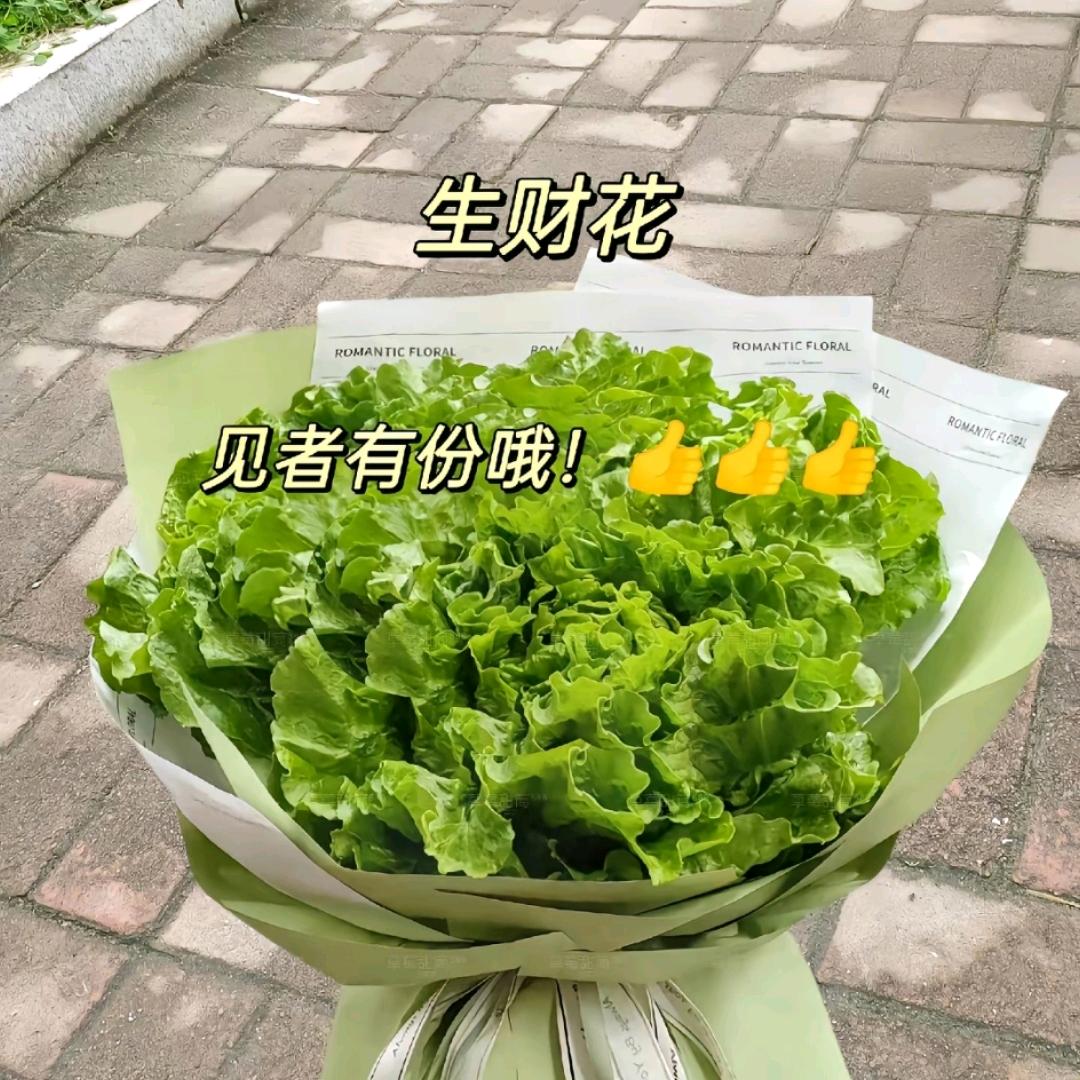 六胡抢跑胡子