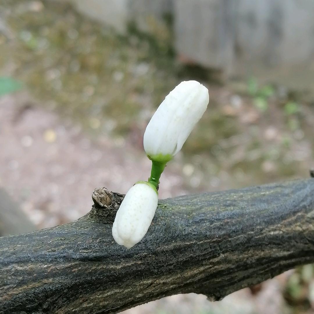 人海一员六八年🐒