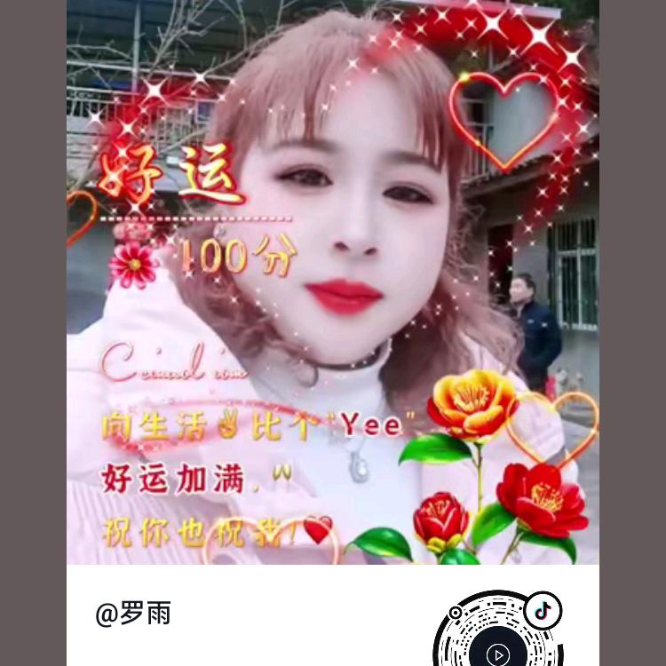 罗雨