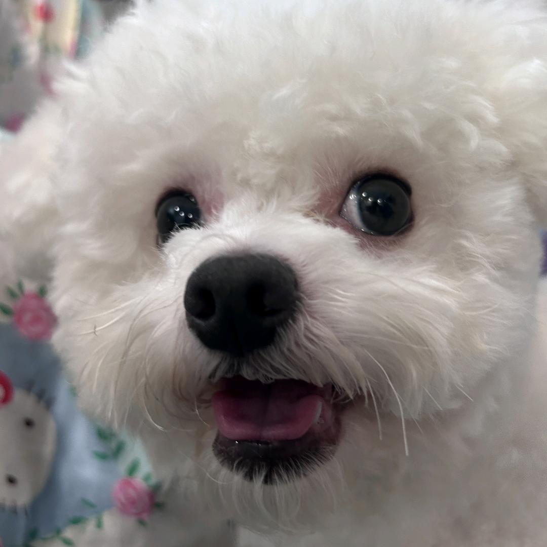 残cc