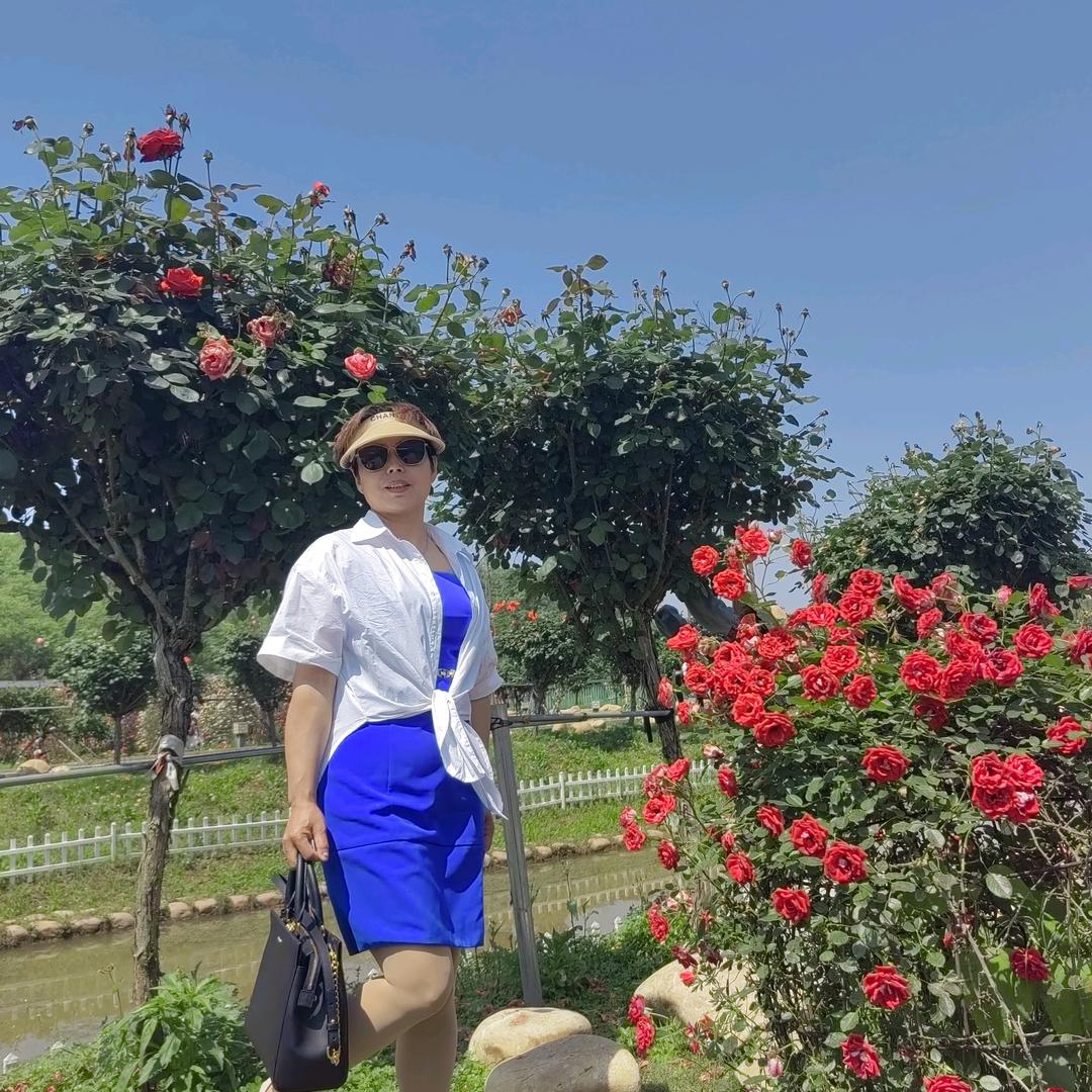 买卖各种长短头发一梅林