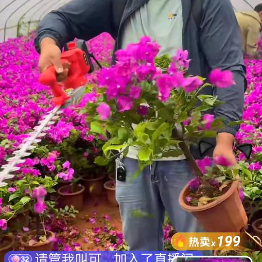 恩典喜乐