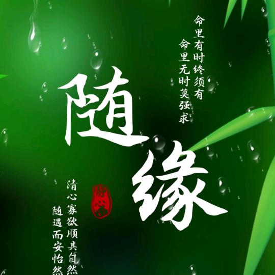 《随缘》