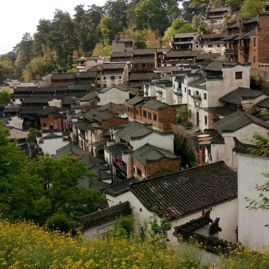 A丽