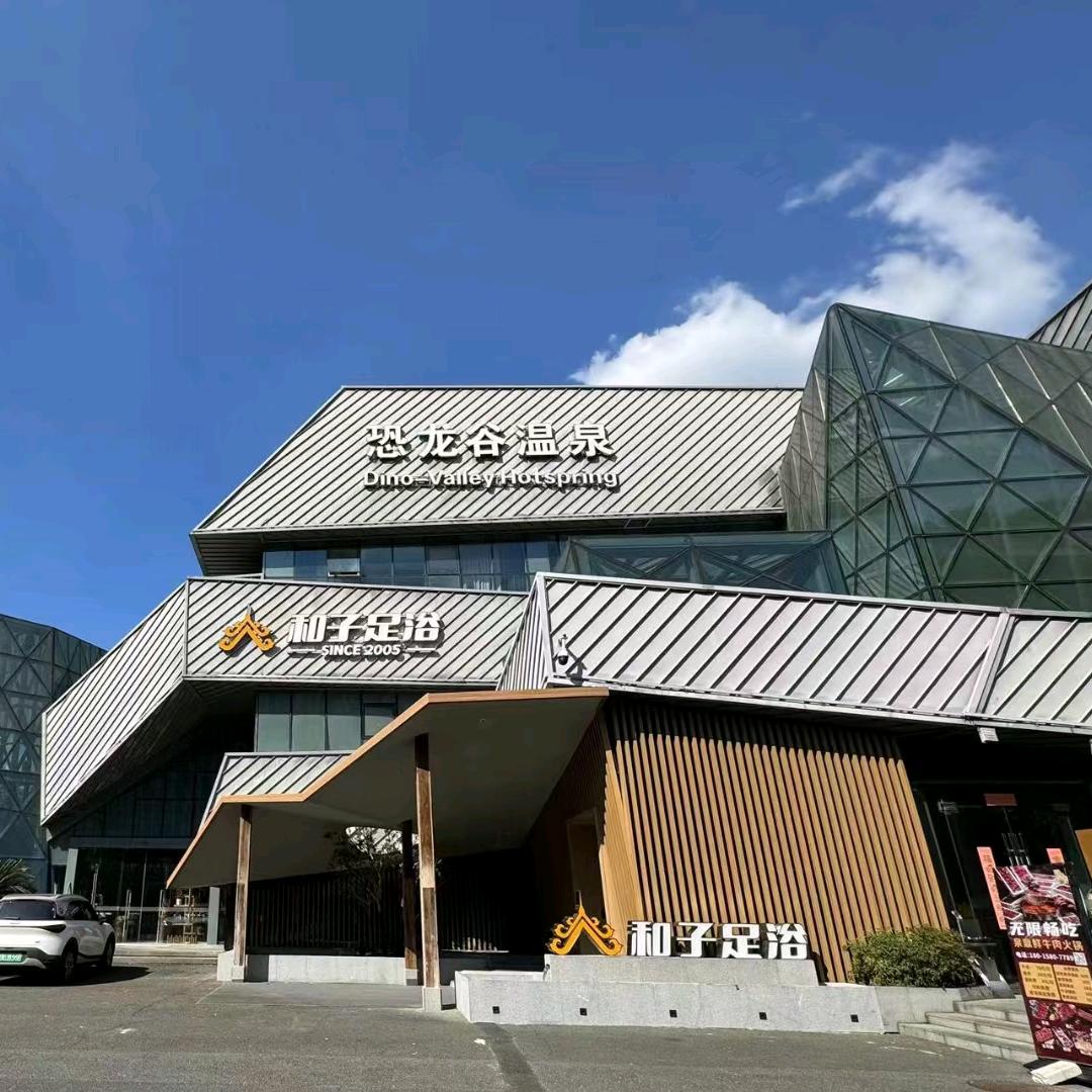 常州和子恐龙园店