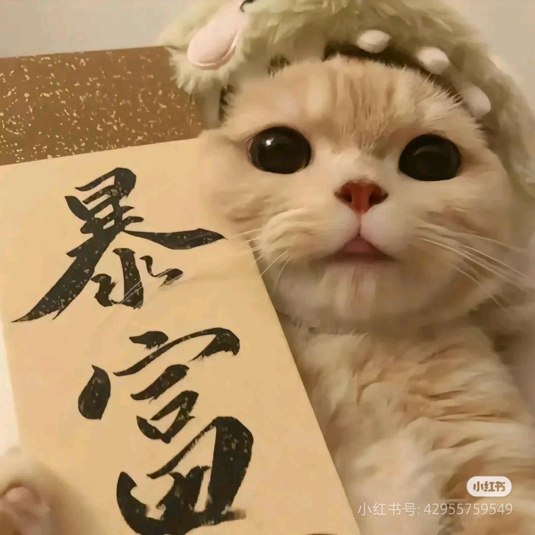 土生金