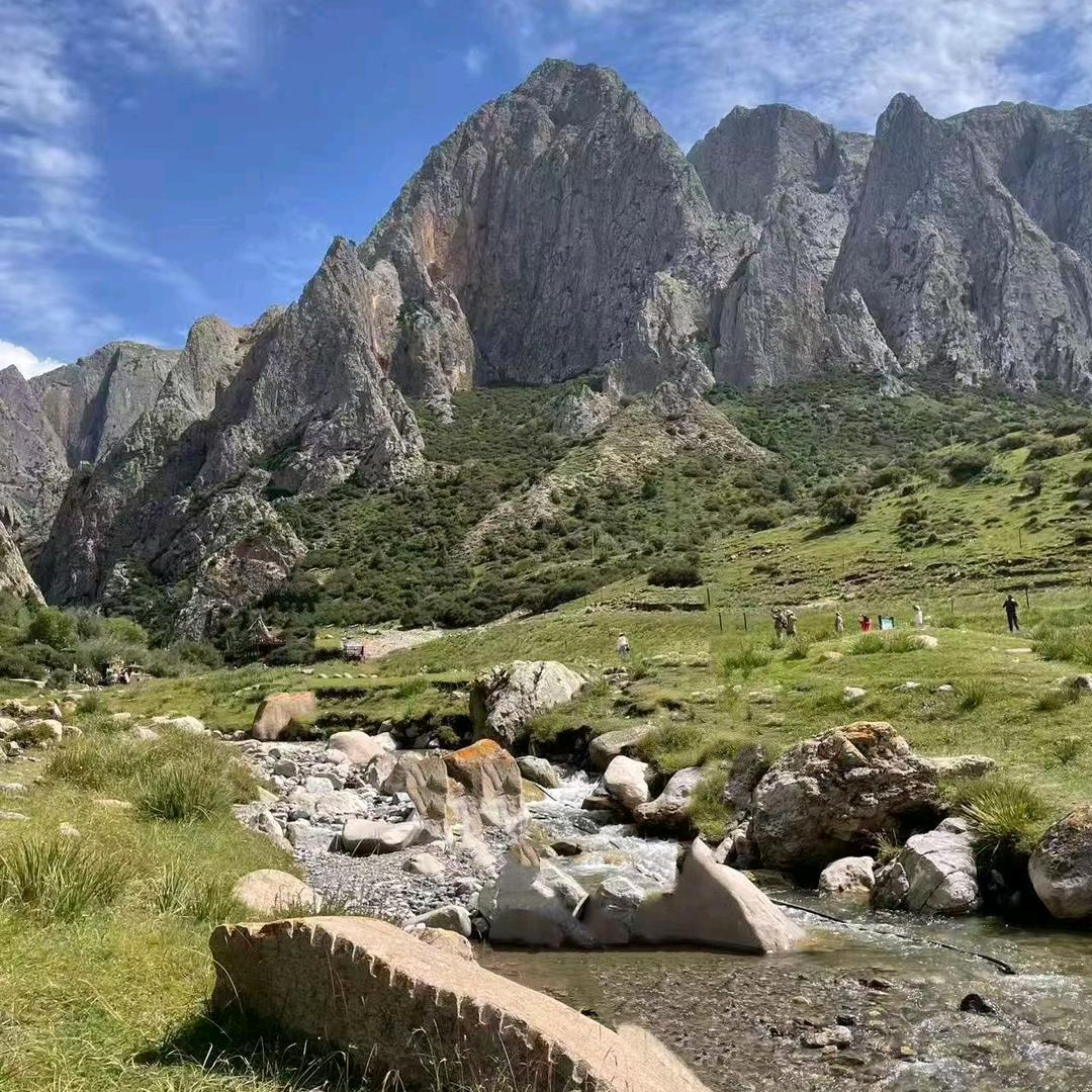 老道老道出门坐轿。