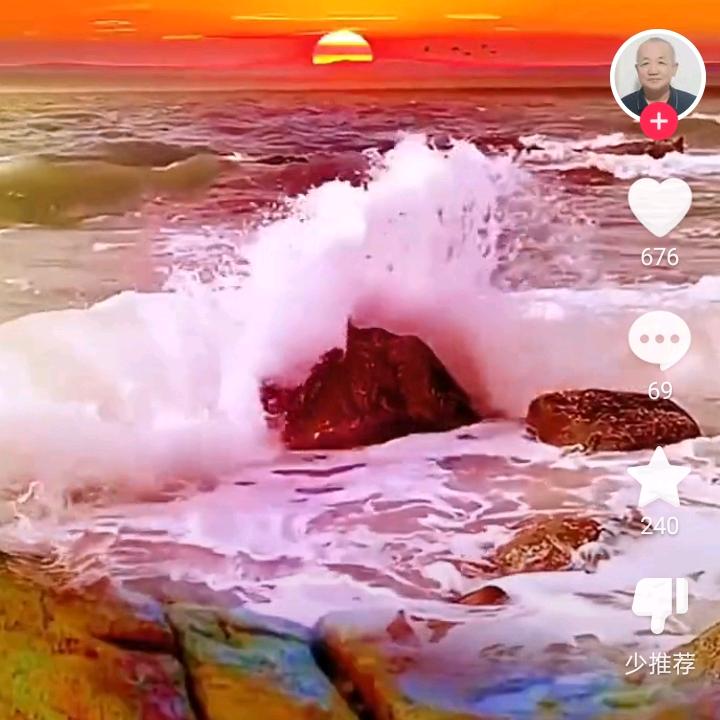 只豆