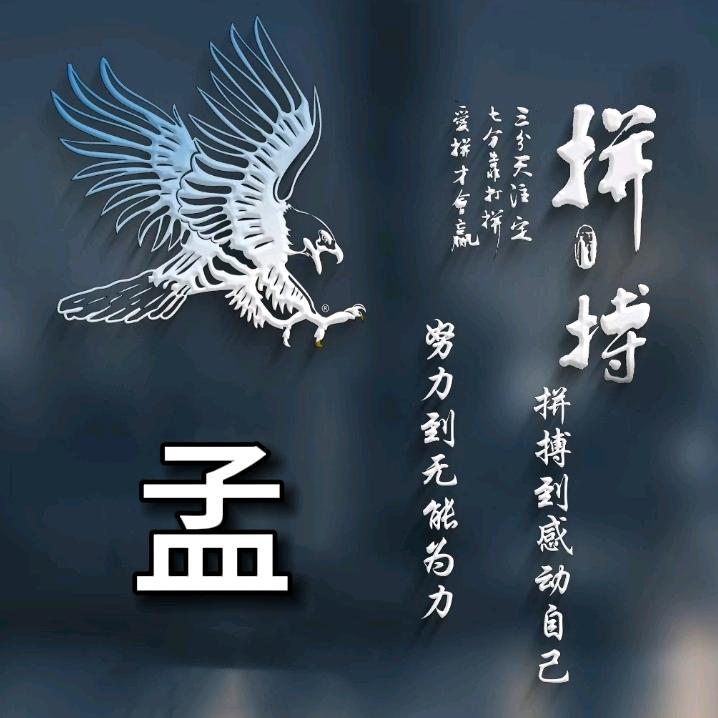 森赫机电