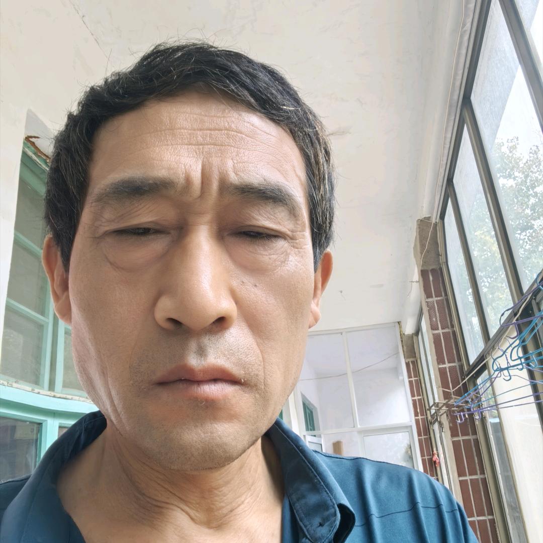 新昌,装饰专业贴.瓷砖