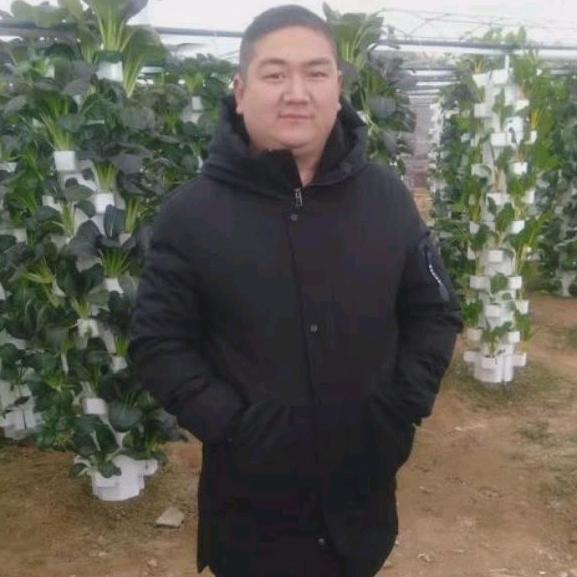 薄荷糖、微凉