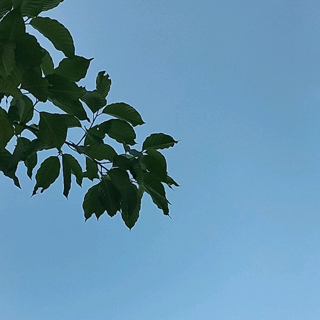 @ℒᎭℯ⃝小幸运🍀