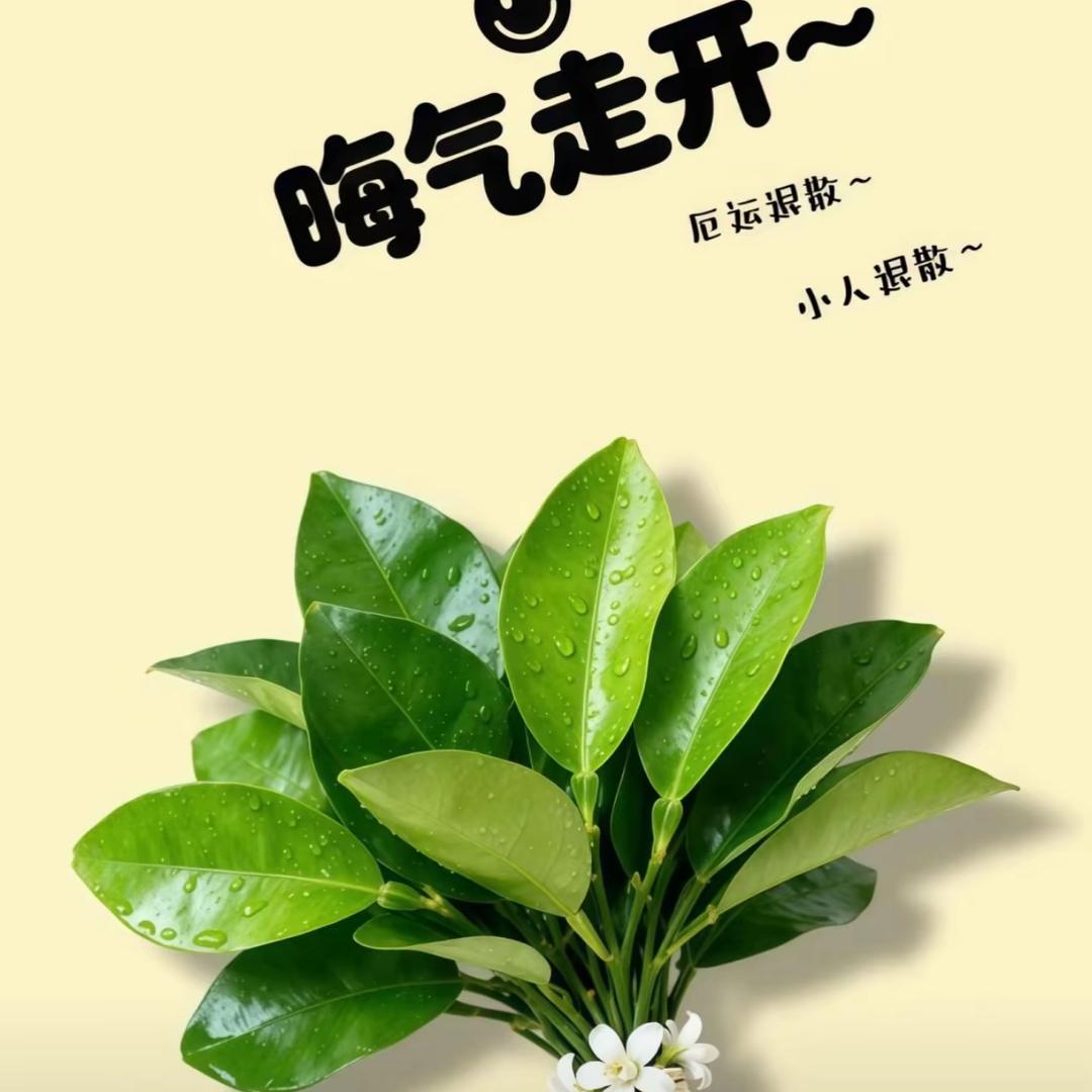 发财田🎀（卖男装）