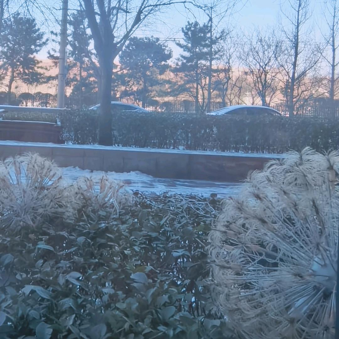 七↗星↘←（＾ｖ＾）