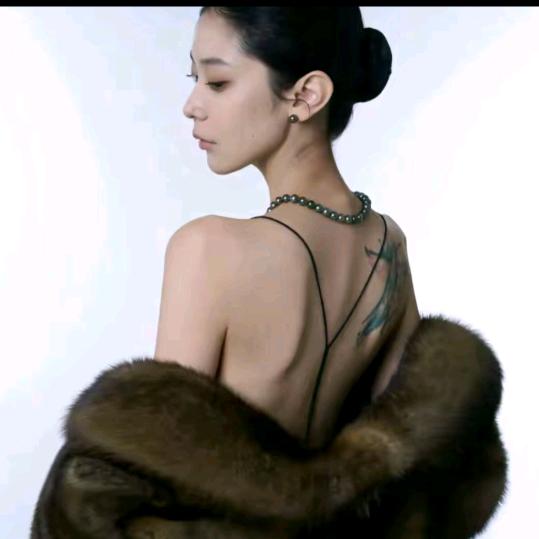 陈什么陈【直播精选】