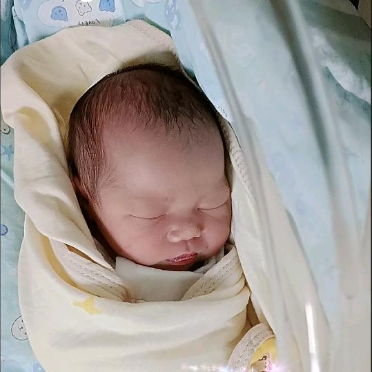 谎言背叛了承诺