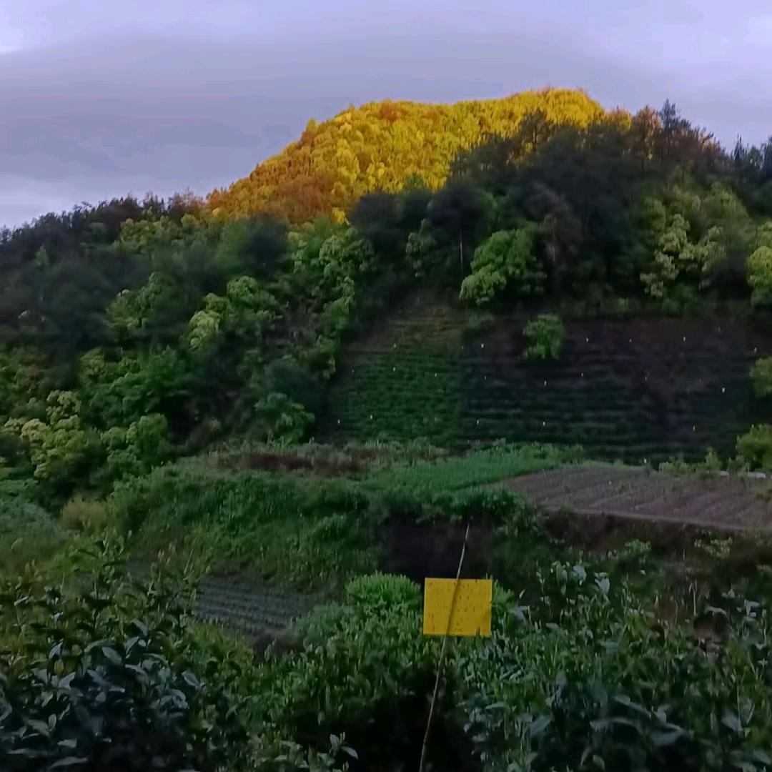 农村光哥