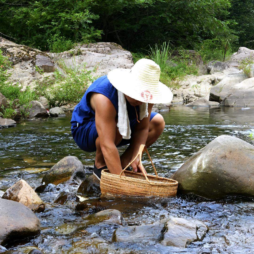 田野间