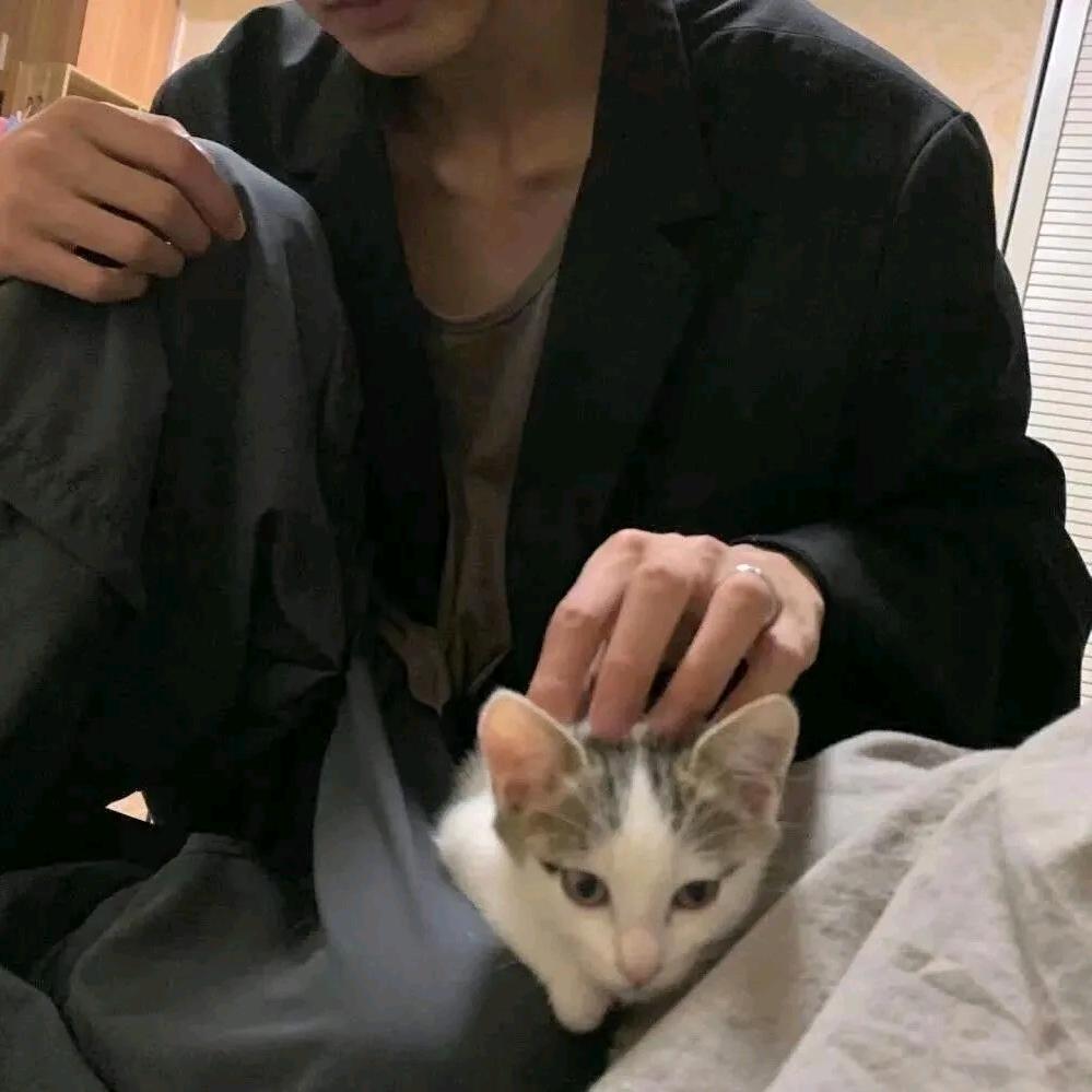 爱在初夏点燃☘️